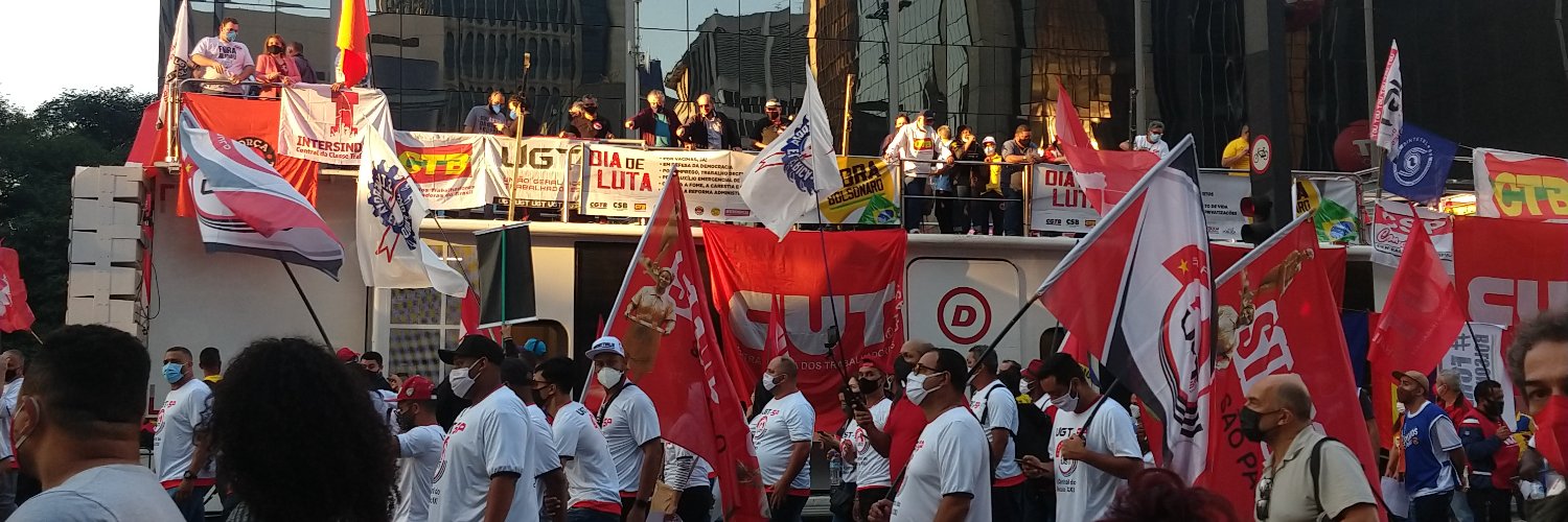 Elza Nice Ribeiro banner