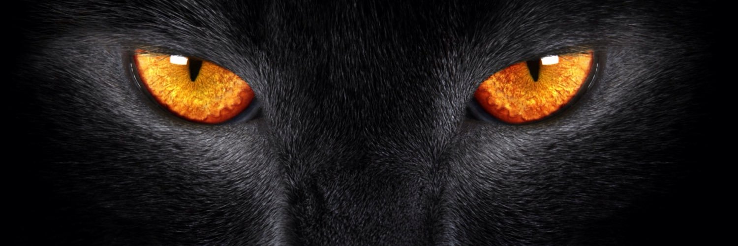 copper_tail's profile banner image