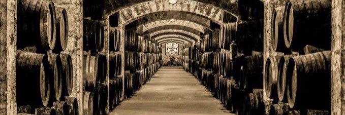 Bodegas Suau banner