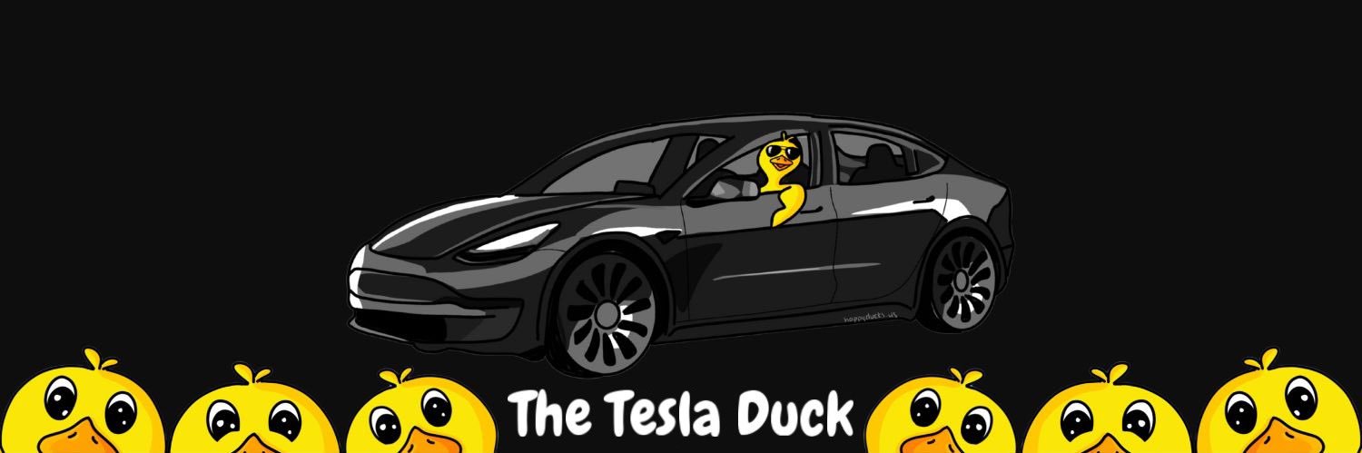 The Tesla Duck banner