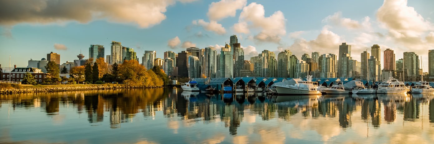 cdavidwealth's profile banner image