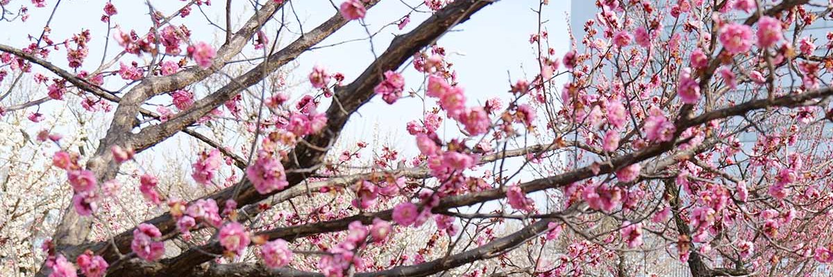 カナロコ by 神奈川新聞 banner