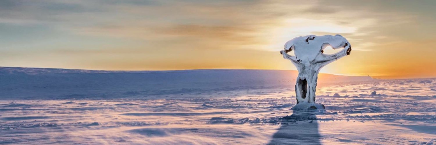 RobertFeagan's profile banner image