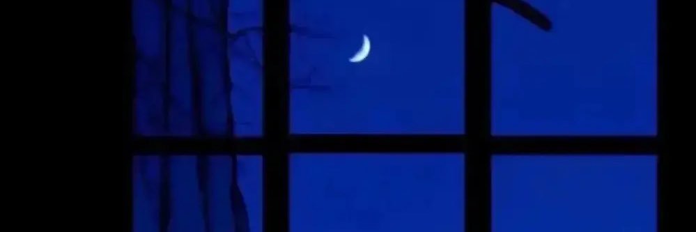 LINYAN4EVER's profile banner image
