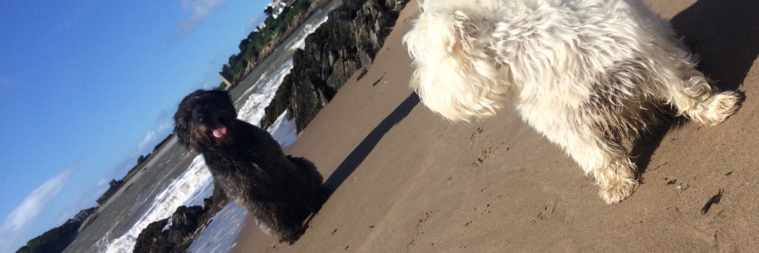 Duffle&MaisyPowell banner