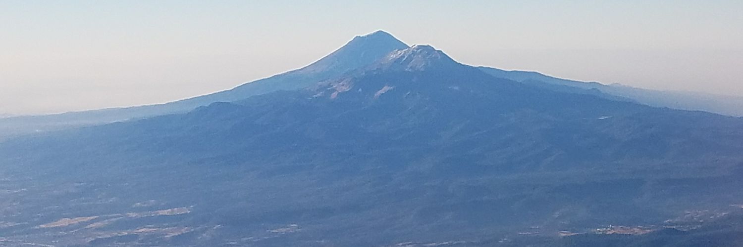 Lili Chestnut banner