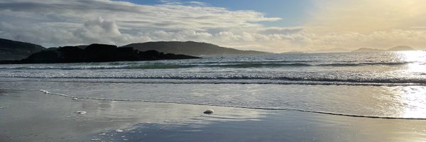 remusbrett Profile Banner