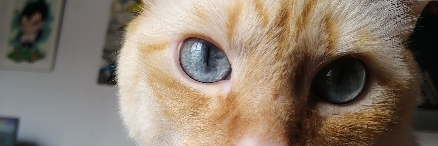 felipebatex's profile banner image