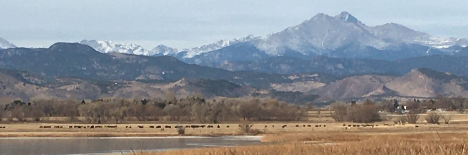 Lynn Becker🦑🌊🌝 banner