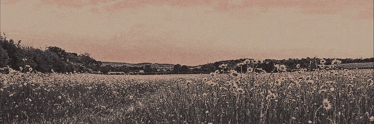 ‍‍ ‍ ˢʷᵉᵉᵗ ‍╱ ‍𝑠𝘶𝘮𝘮𝘦𝘳 𝑐𝘩𝘪𝘭𝘥 .ᐟ banner