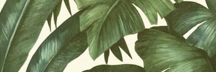 mcgavcel98's profile banner image