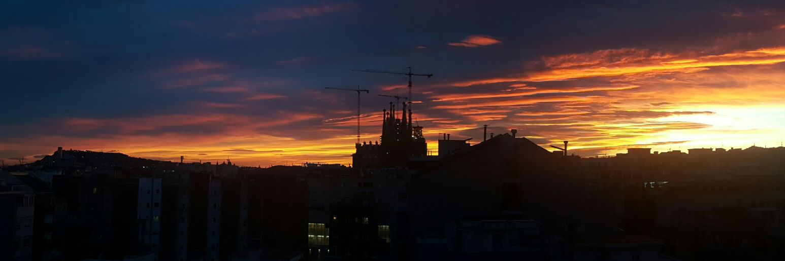 Anna Manonelles banner