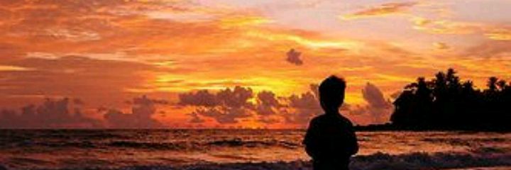 alssafair's profile banner image