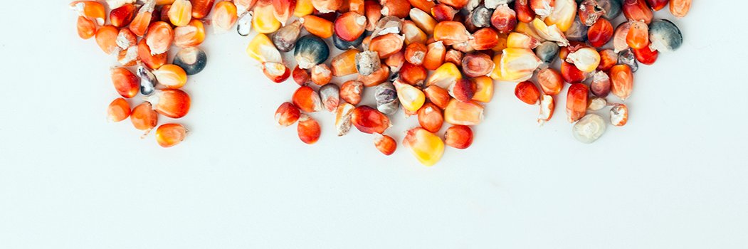 Artisan Grain Collab banner