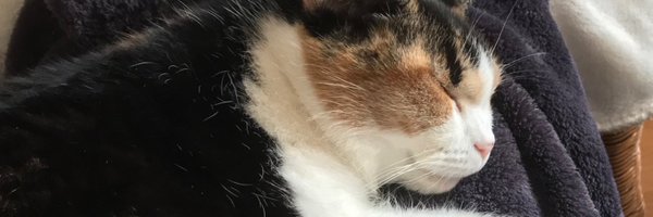 chriswilson_3 Profile Banner