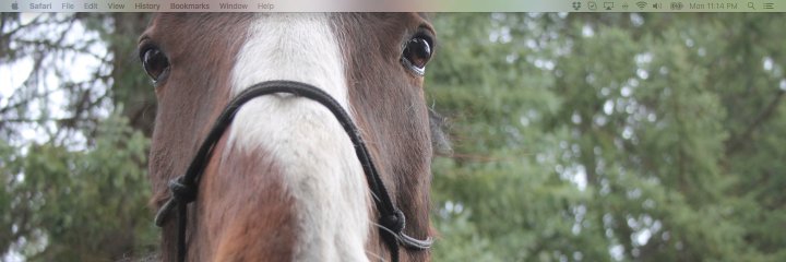 mariedbennett's profile banner image