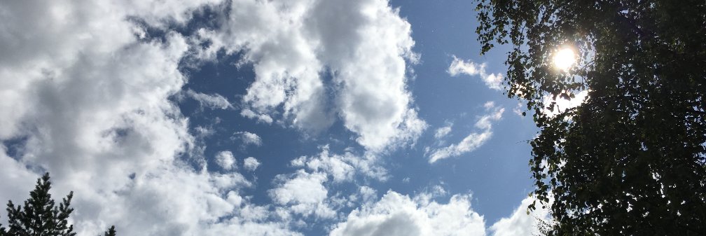 EricaLimaTwitte's profile banner image