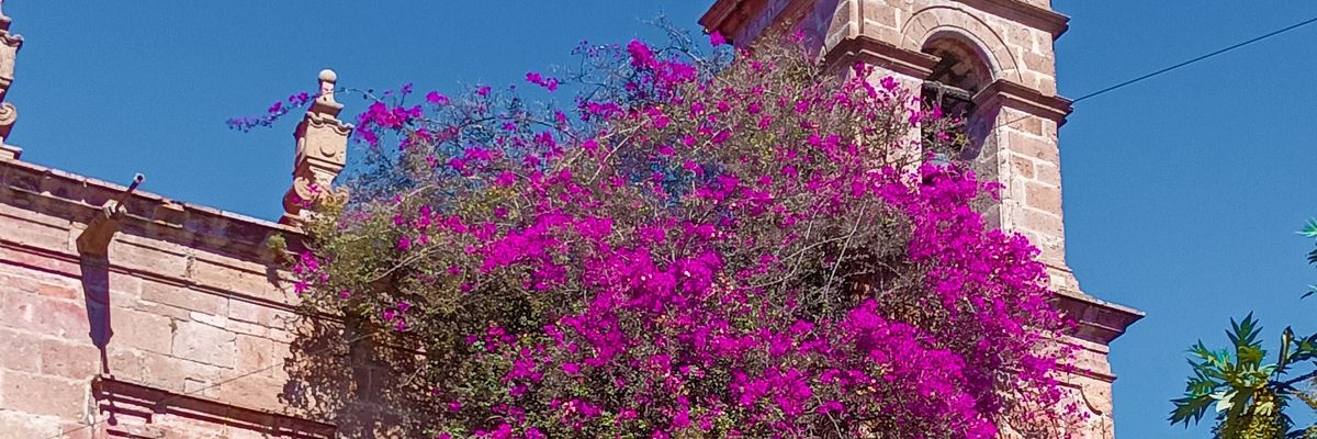 jann_gs's profile banner image
