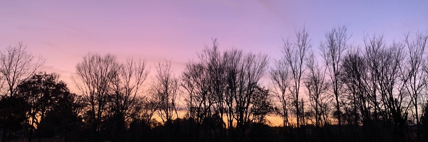 thewilliamreich's profile banner image