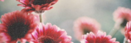 nncjnc's profile banner image