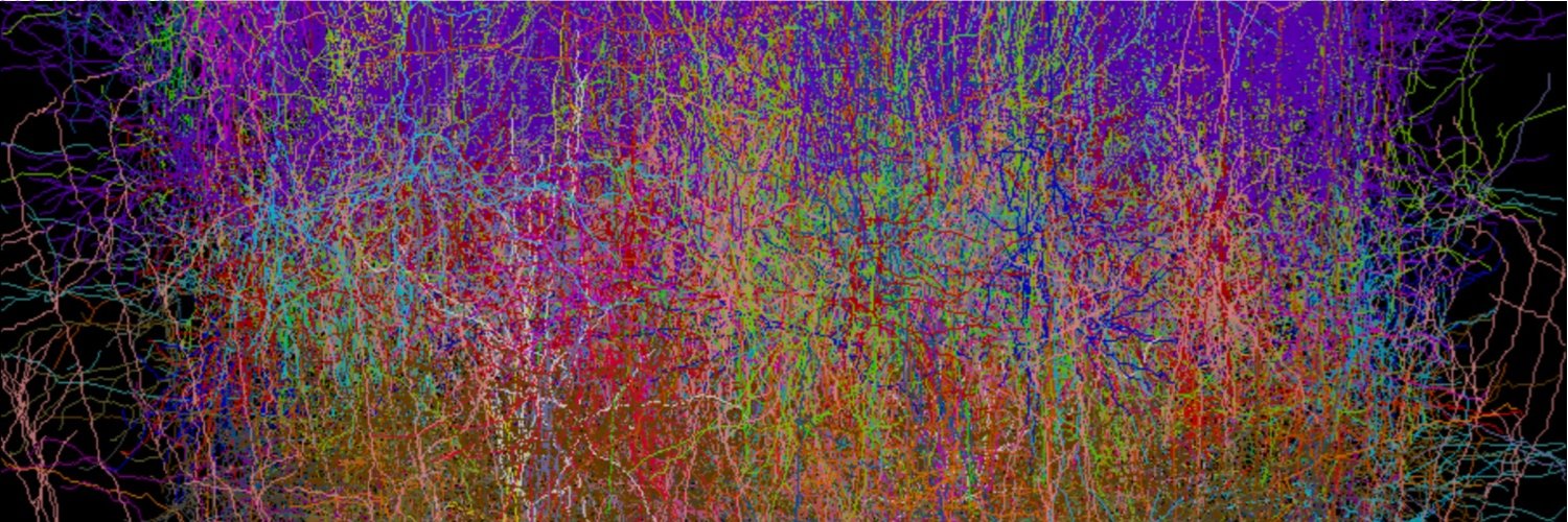 numericalbrain's profile banner image