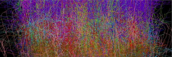 numericalbrain Profile Banner