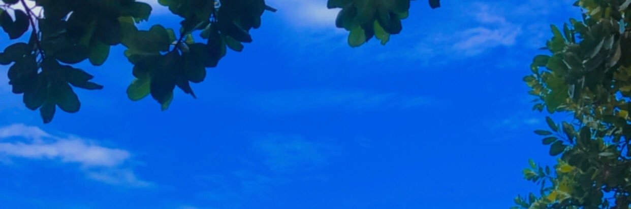 ndeeeeeng's profile banner image