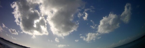 dskot Profile Banner