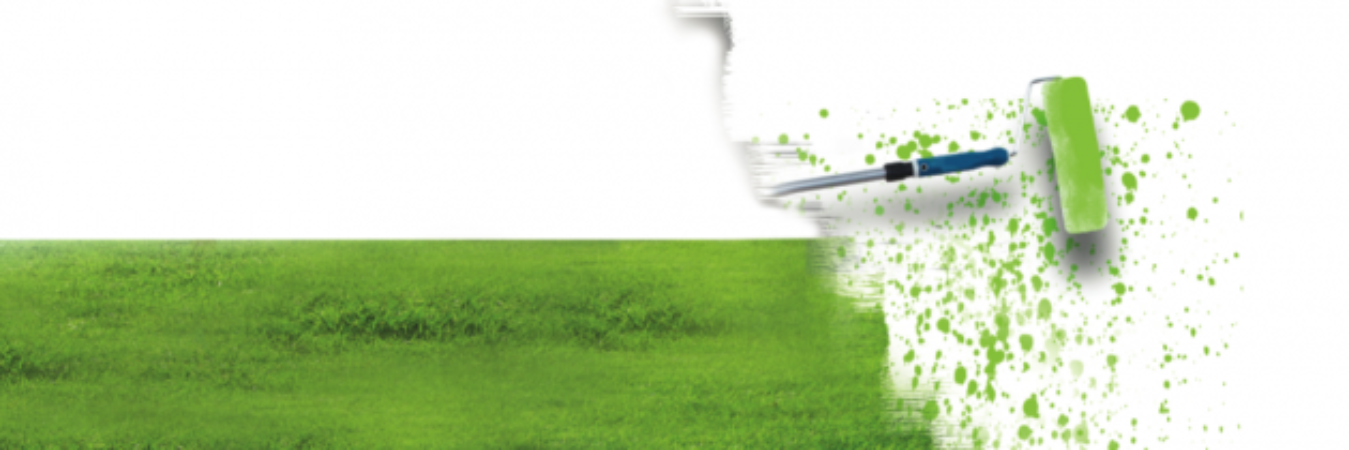kushitow's profile banner image