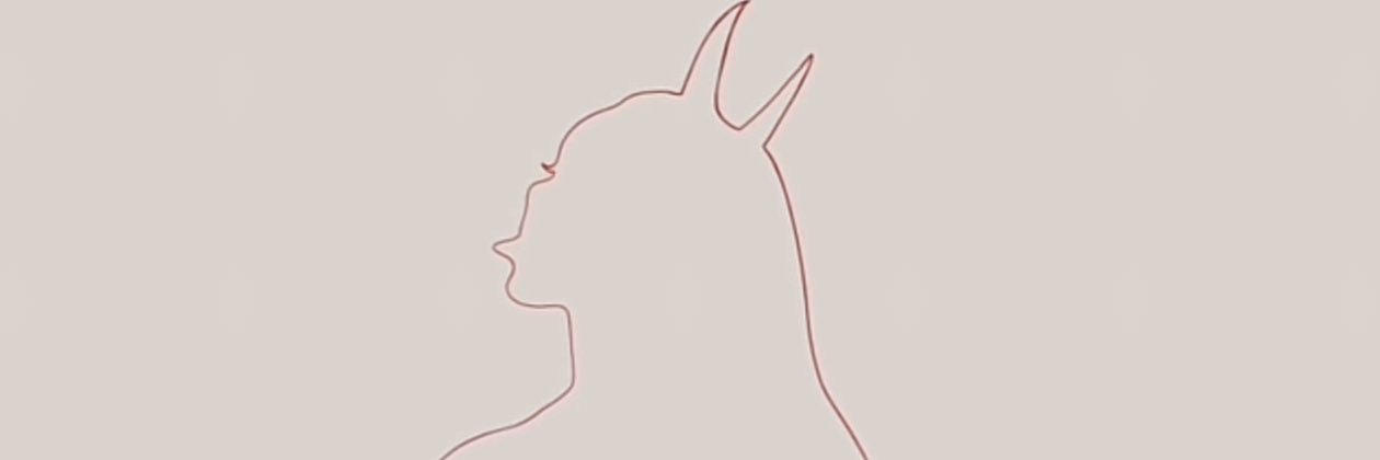dealwithKaytee's profile banner image