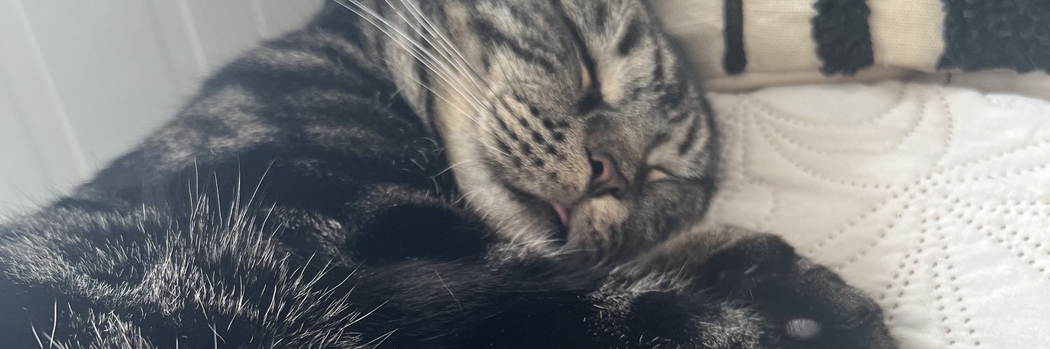 andy andr e a banner