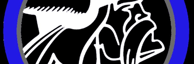 Geneva HS Baseball banner