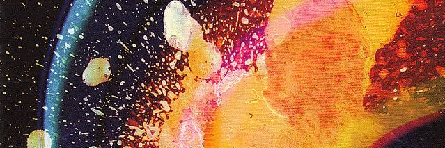 Noah banner