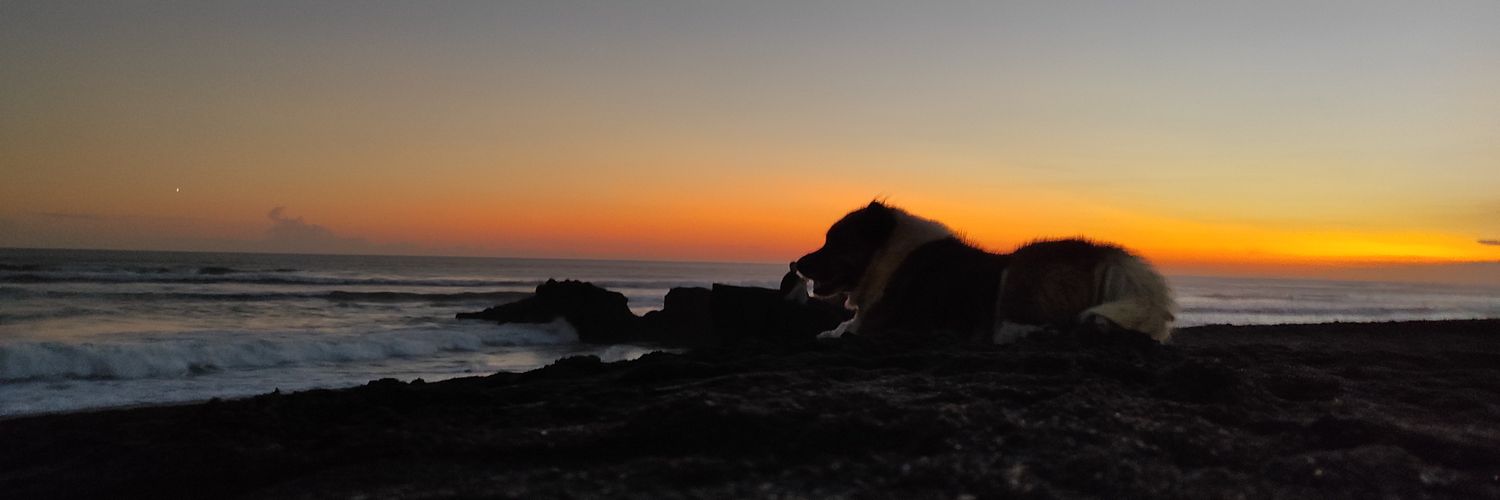 trgstna's profile banner image