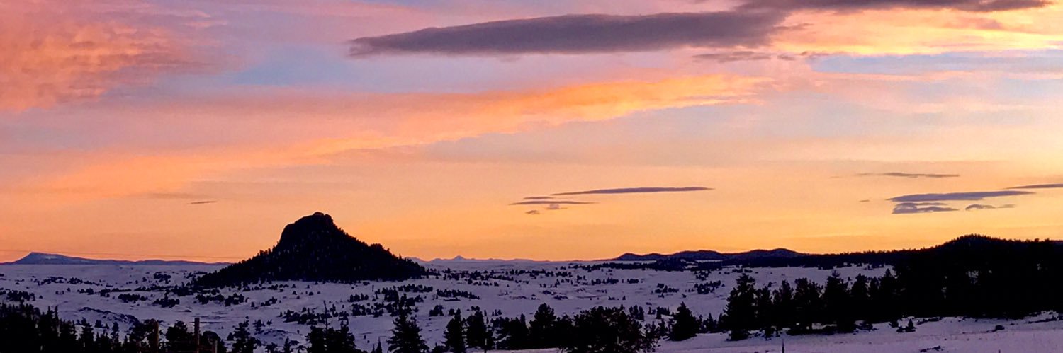 SJRoss21's profile banner image