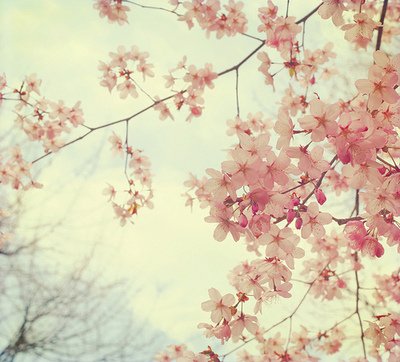 BrainwashedGirl's profile banner image