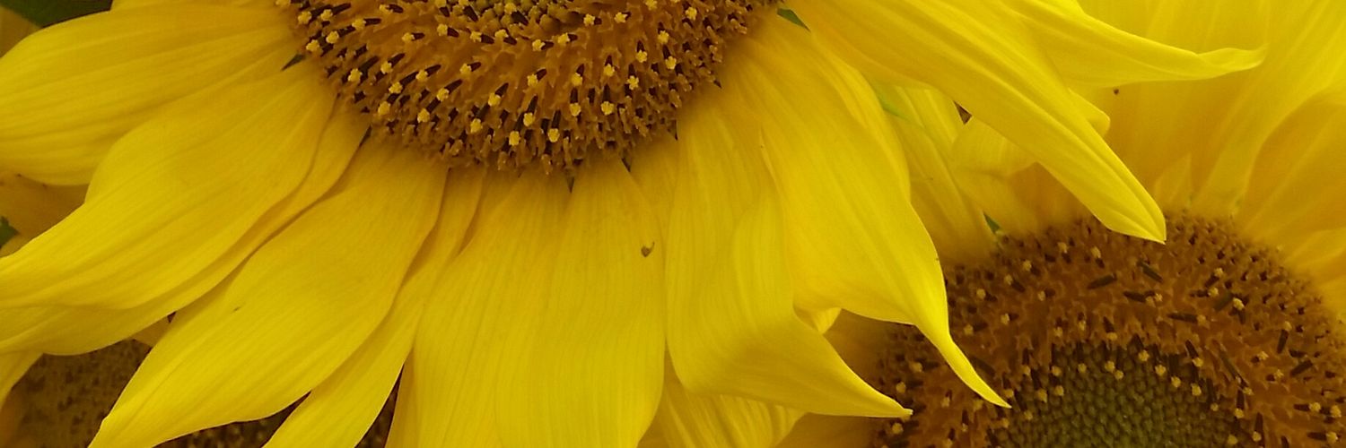 HenningBublitz's profile banner image