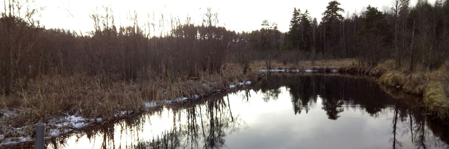 rolerl's profile banner image