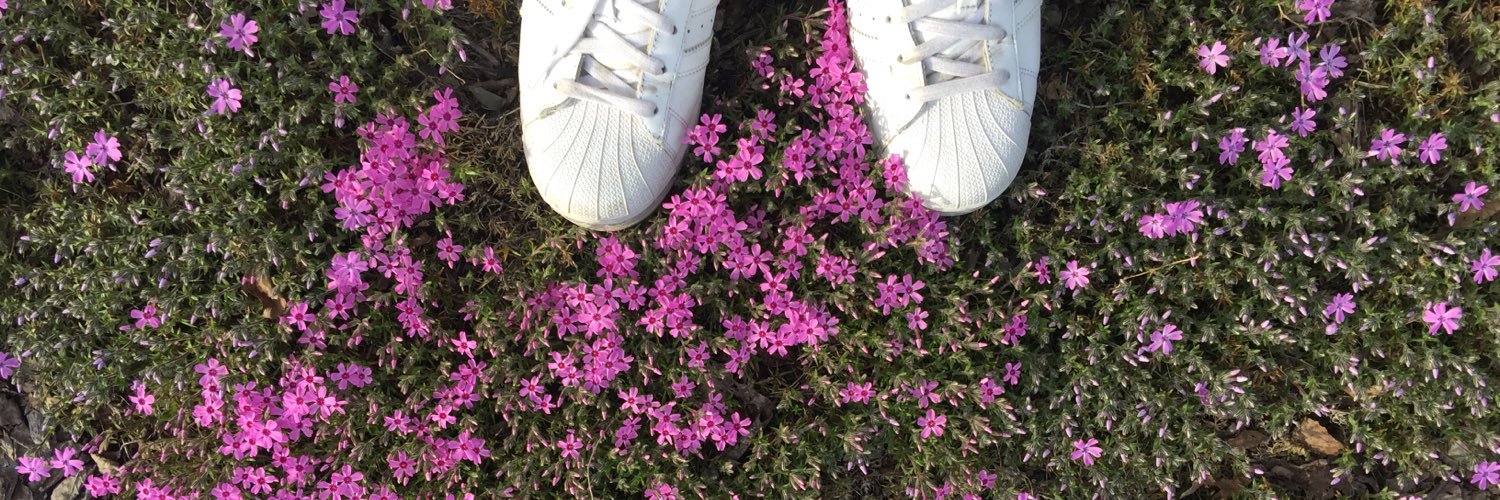 Fragrantia's profile banner image