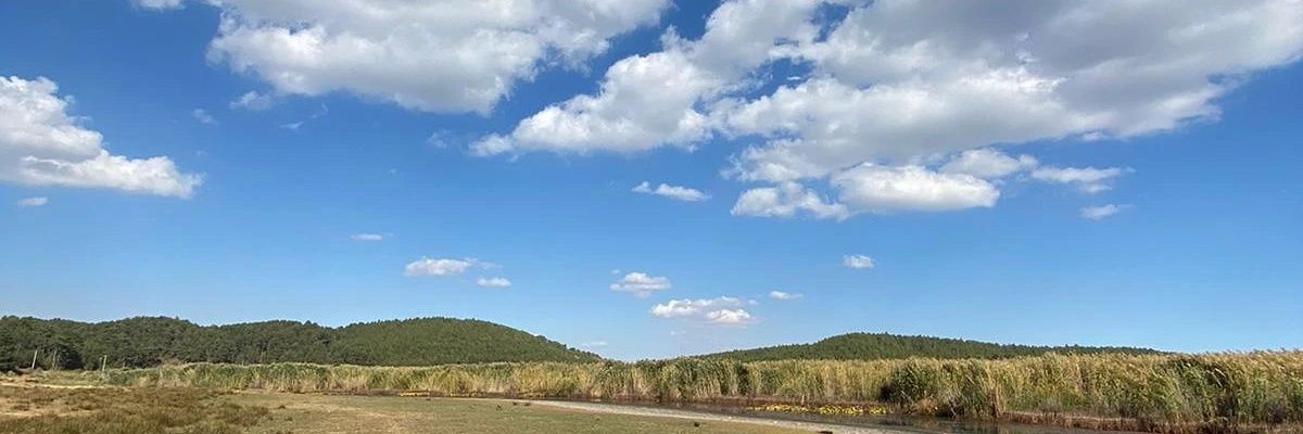 qizz24's profile banner image