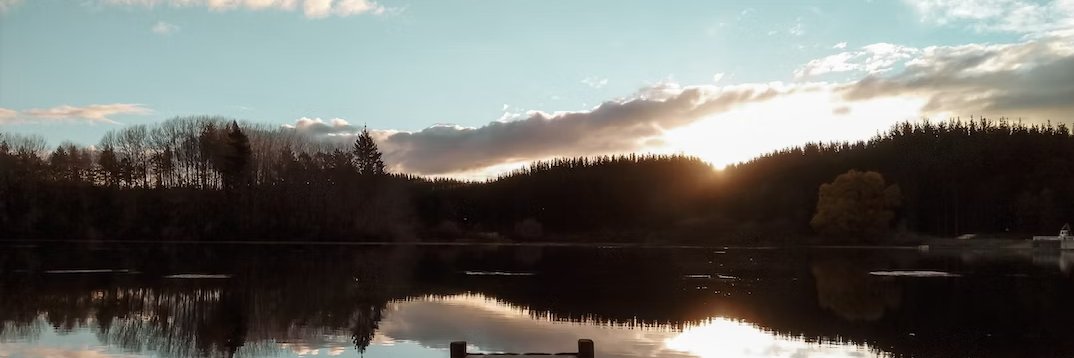 推特评论家 banner