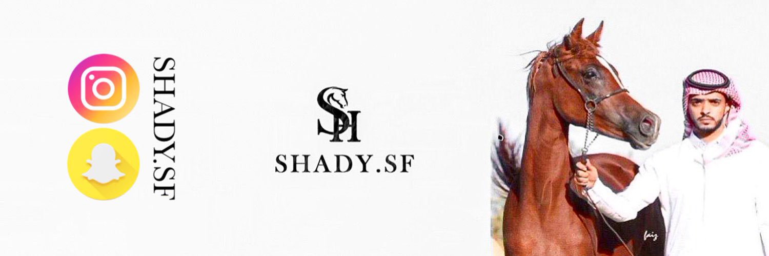شادي حسين 📷 .. banner