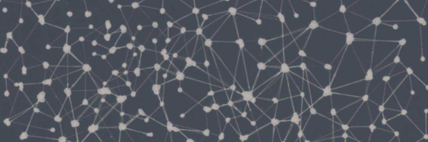 Alasdair B R Stewart banner