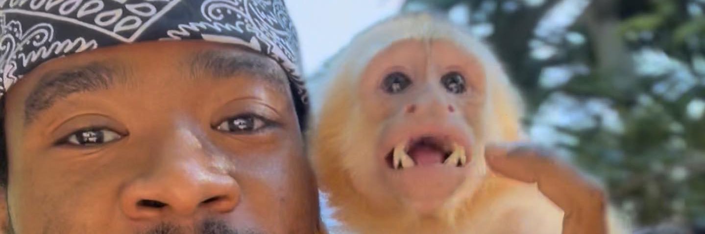 Jabarbear's profile banner image