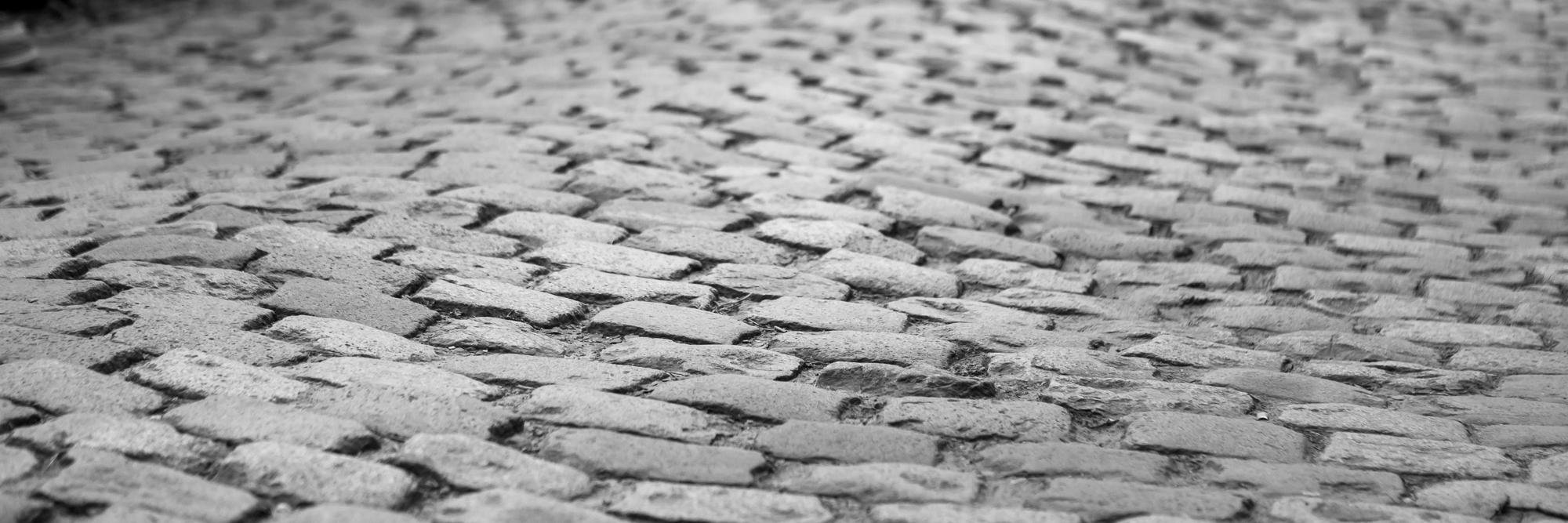 Carol Holliday banner