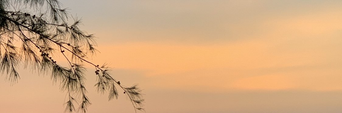 .🫧 banner