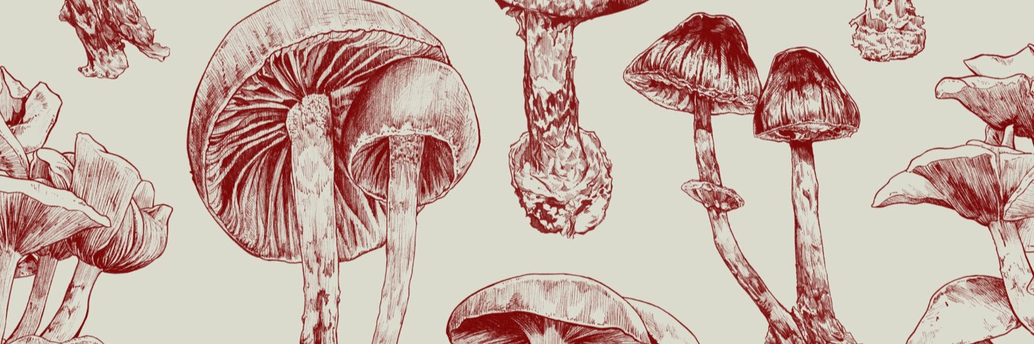 Suha ☘️ スハ @ CF B-G09 banner