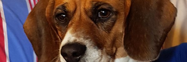 macandy62 Profile Banner
