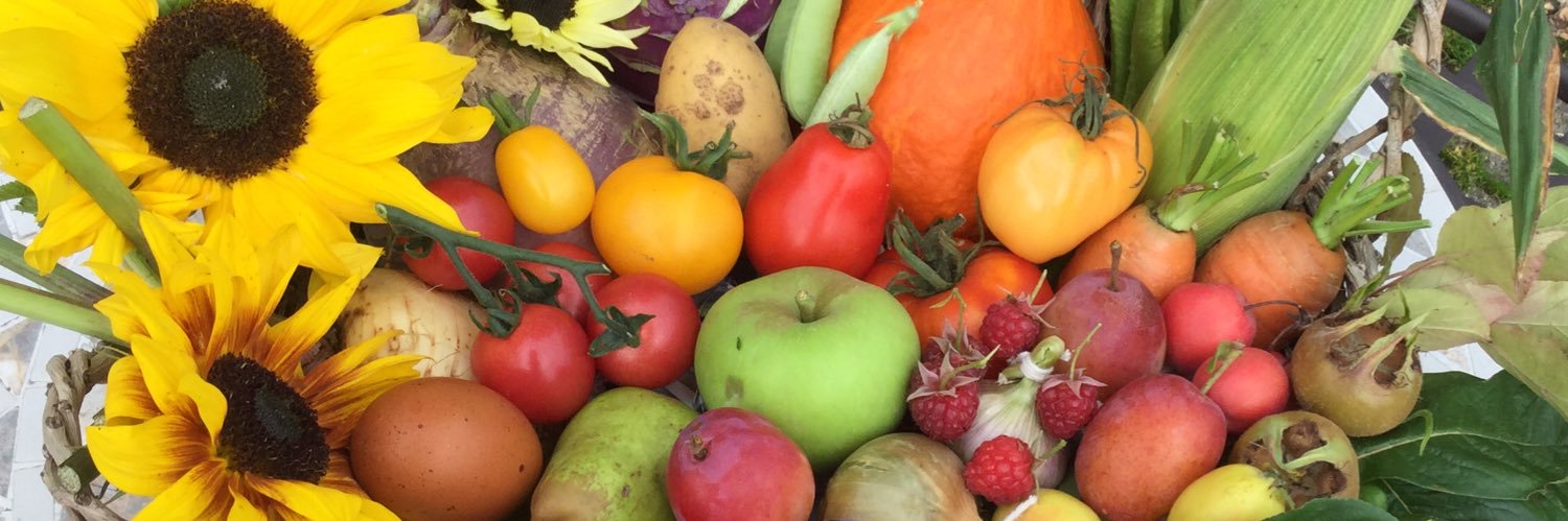 Ladybird Farmer 🐓🐑🐖🐣🍅🍏🌽🥕🥔🥦🥒🌶🥚🍓🍐🥗🚜 banner