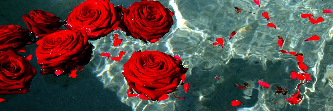 liemsoso's profile banner image
